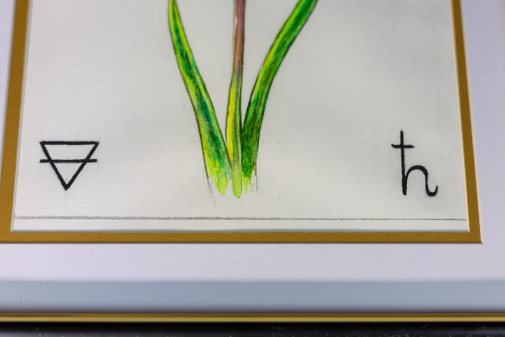 Alchemical Quadriptych