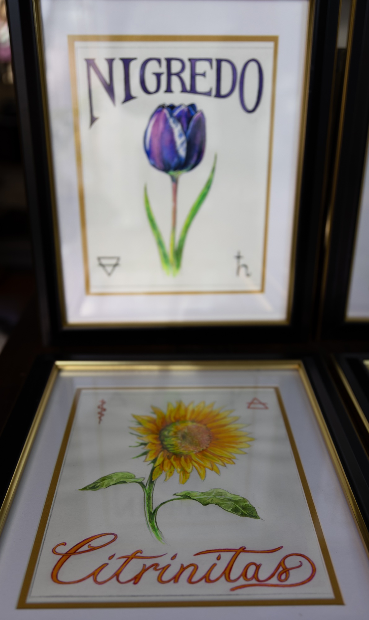 Alchemical Quadriptych